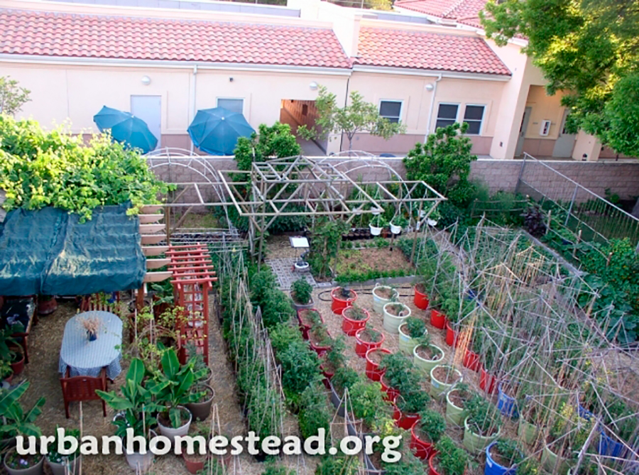 2-urban-homestead.jpg