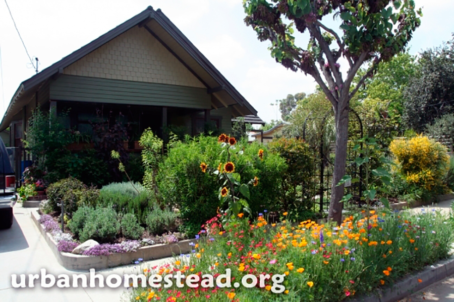5-urban-homestead.jpg